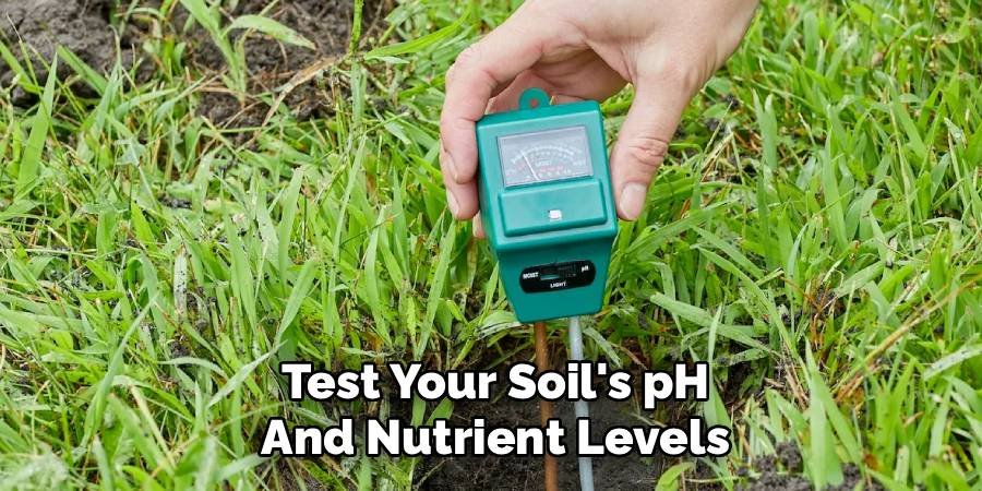 Test Your Soil's pH and Nutrient Levels