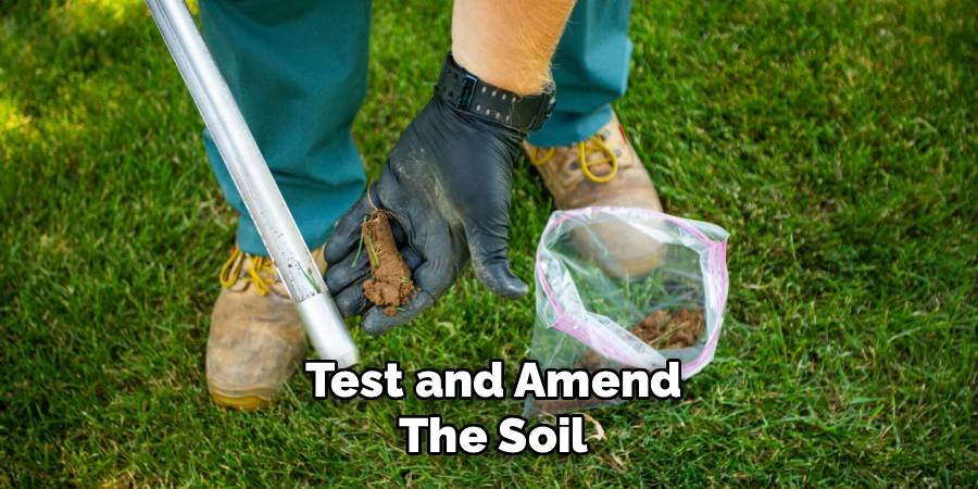 Test and Amend the Soil