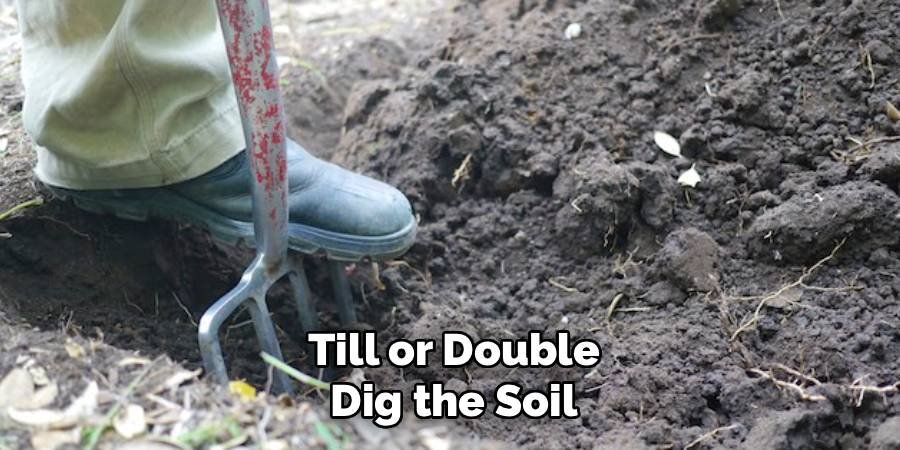 Till or Double-Dig the Soil