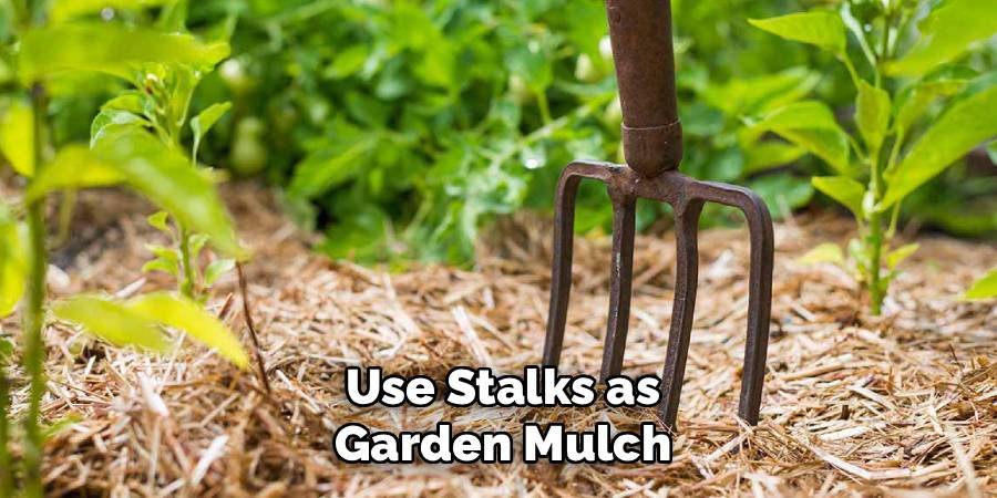 Use Stalks as Garden Mulch