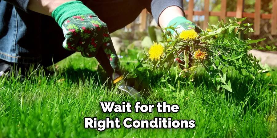 Wait for the Right Conditions