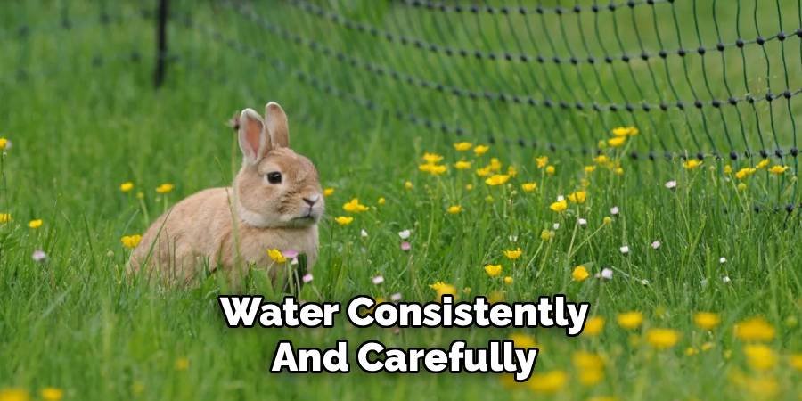 Water Consistently and Carefully