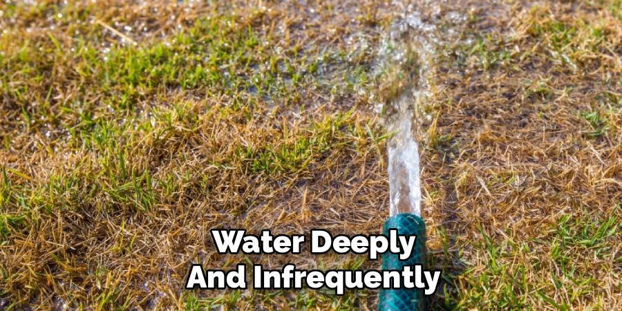 Water Deeply and Infrequently