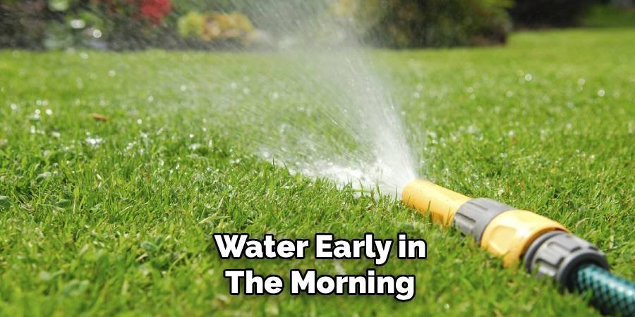Water Early in the Morning