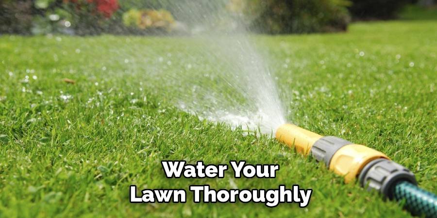 Water Your Lawn Thoroughly