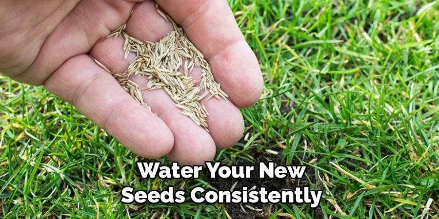 Water Your New Seeds Consistently