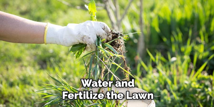 Water and Fertilize the Lawn