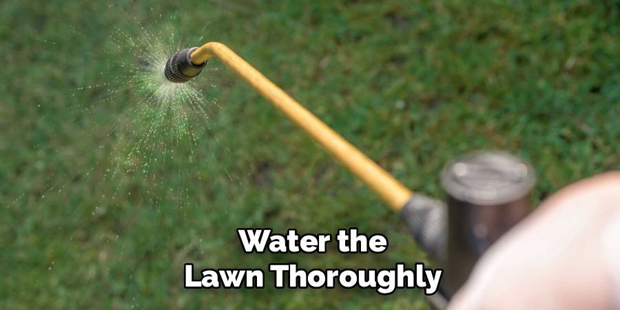 Water the Lawn Thoroughly