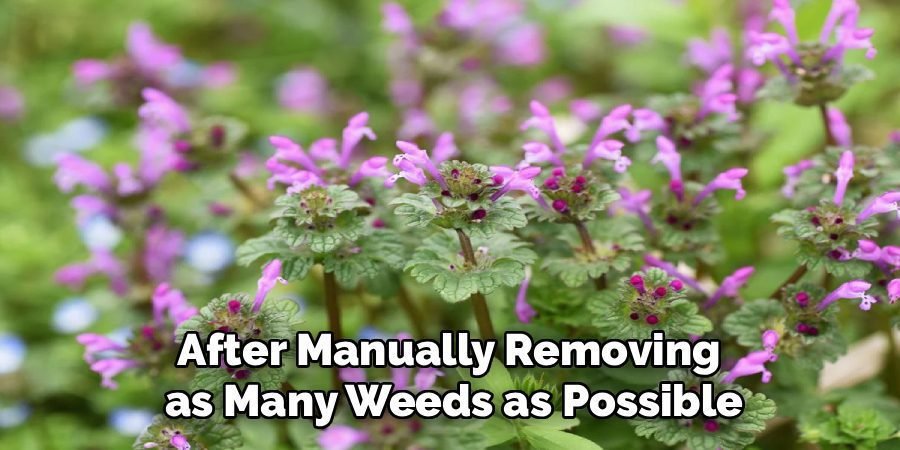 After Manually Removing 
as Many Weeds as Possible