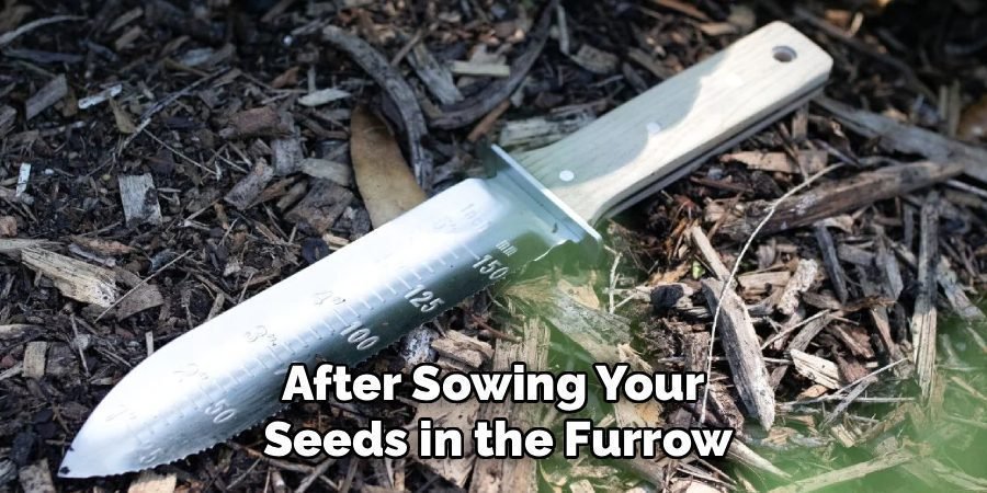 After Sowing Your
Seeds in the Furrow