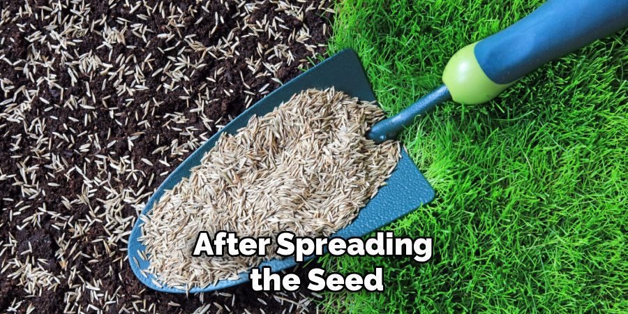 After Spreading 
the Seed