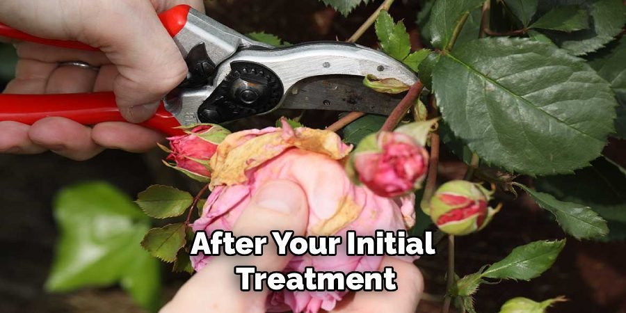After Your Initial
Treatment