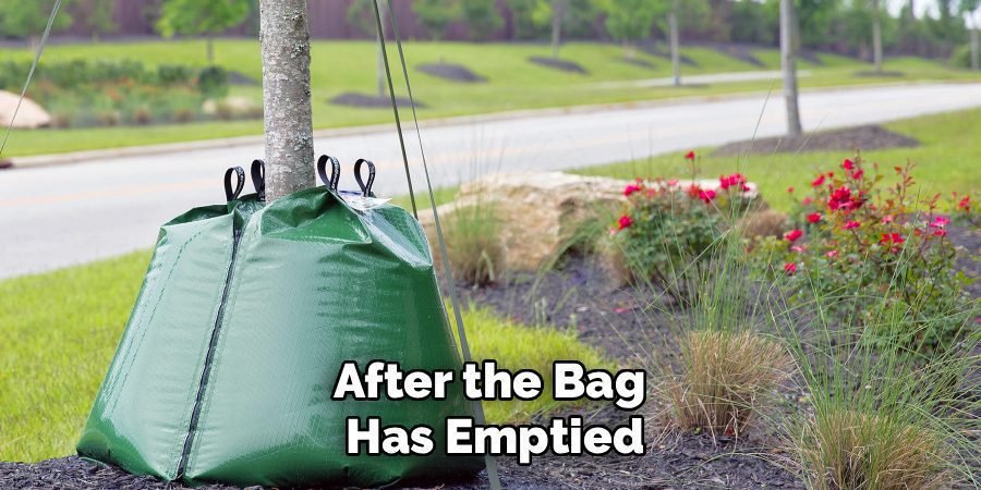 After the Bag 
Has Emptied