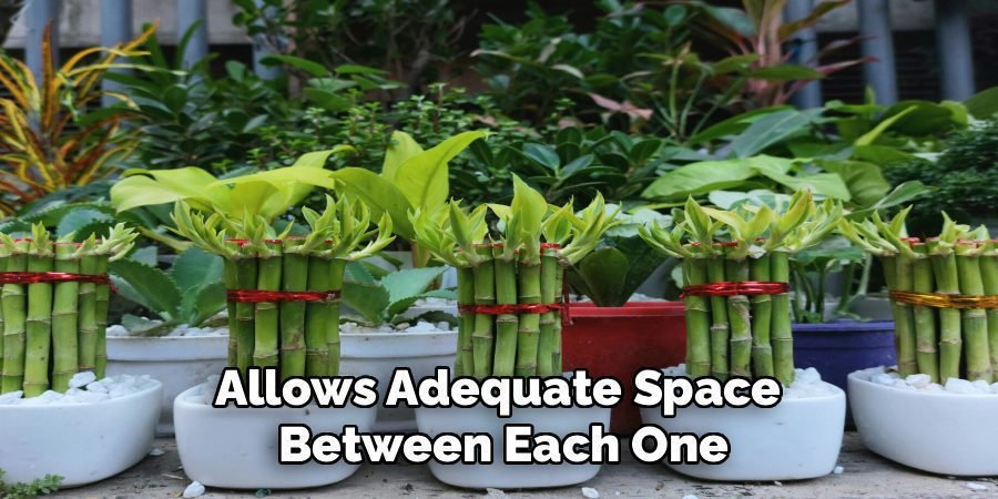 Allows Adequate Space 
Between Each One