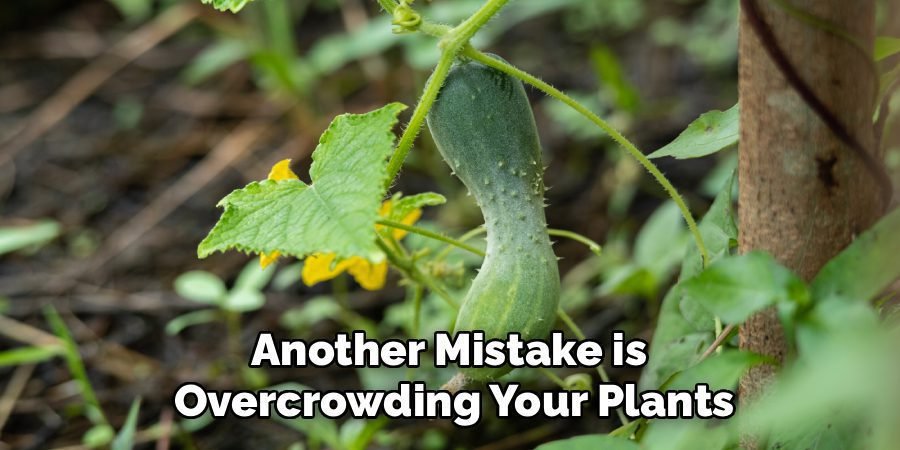 Another Mistake is 
Overcrowding Your Plants