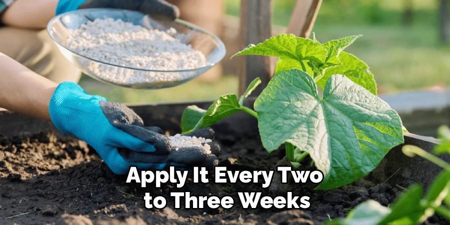 Apply It Every Two 
to Three Weeks