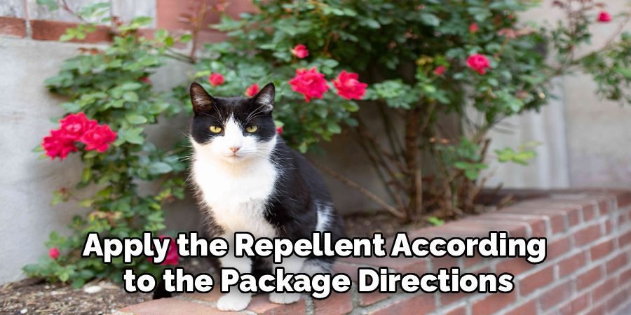 Apply the Repellent According 
to the Package Directions