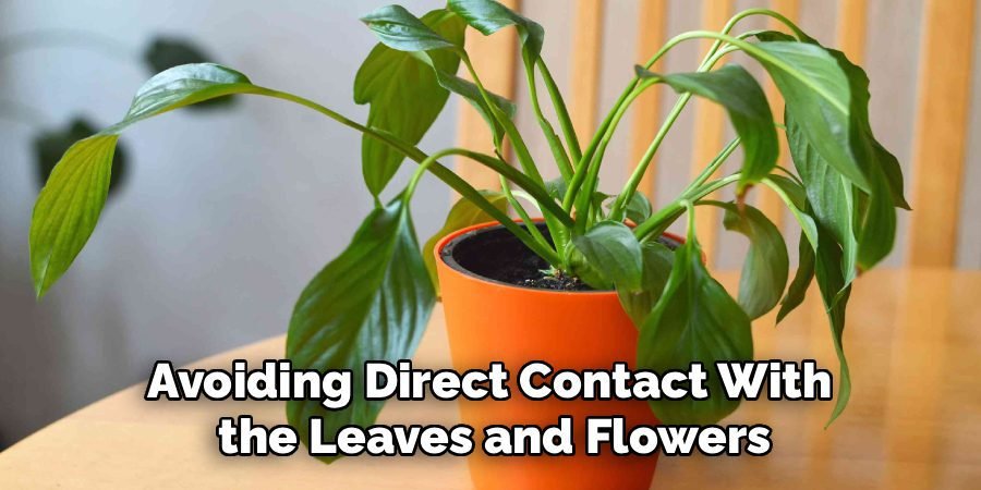 Avoiding Direct Contact With 
the Leaves and Flowers