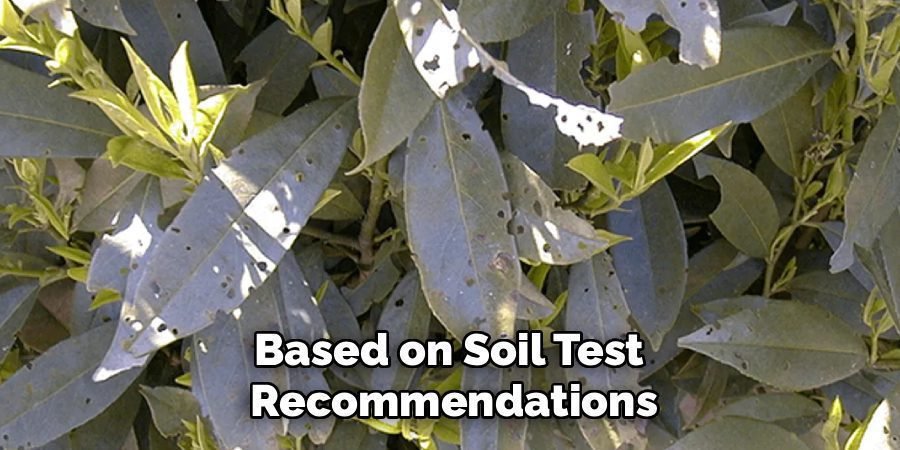 Based on Soil Test 
Recommendations