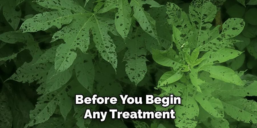Before You Begin 
Any Treatment