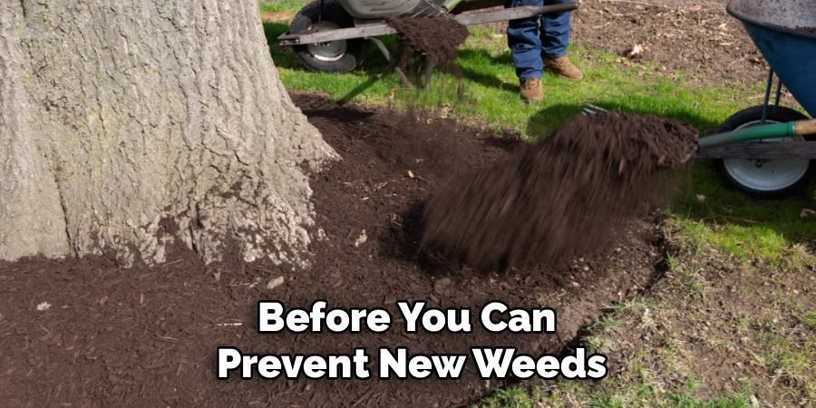 Before You Can 
Prevent New Weeds