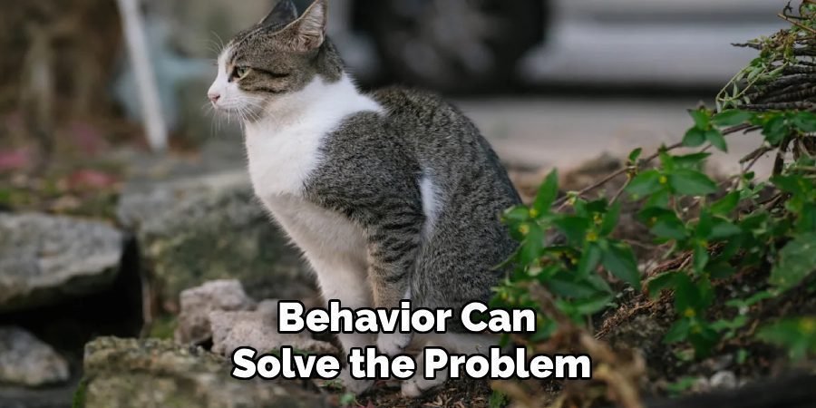 Behavior Can 
Solve the Problem