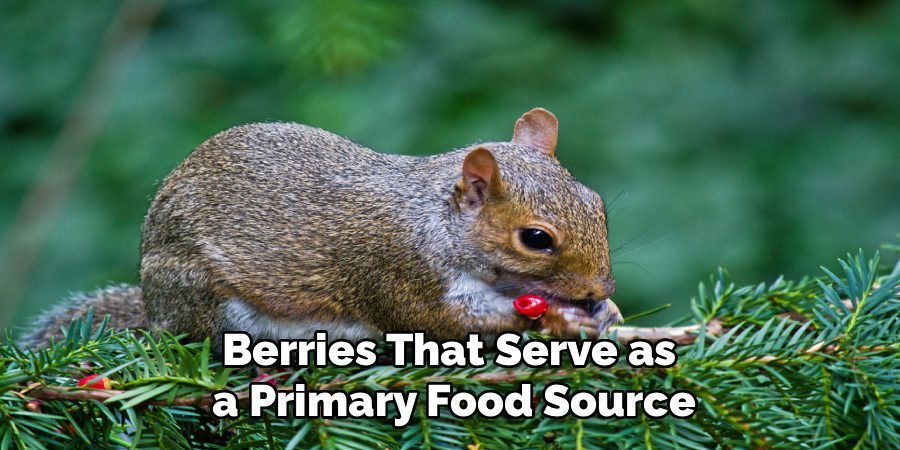 Berries That Serve as
a Primary Food Source