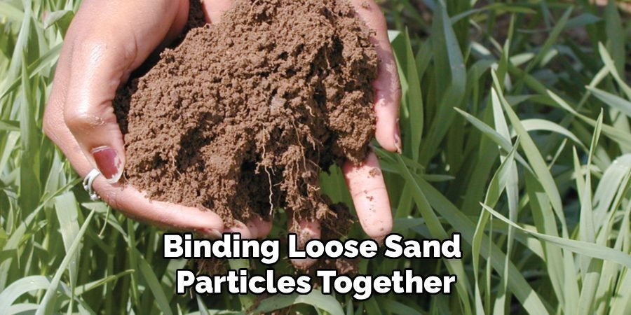 Binding Loose Sand 
Particles Together