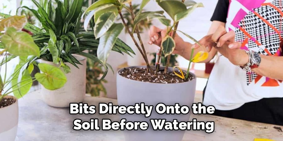 Bits Directly Onto the
Soil Before Watering