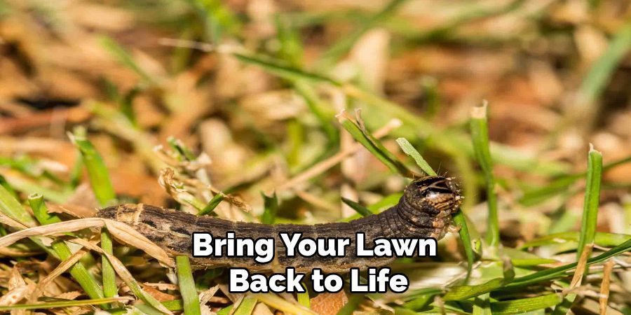 Bring Your Lawn 
Back to Life