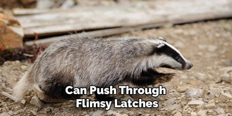 Can Push Through
Flimsy Latches