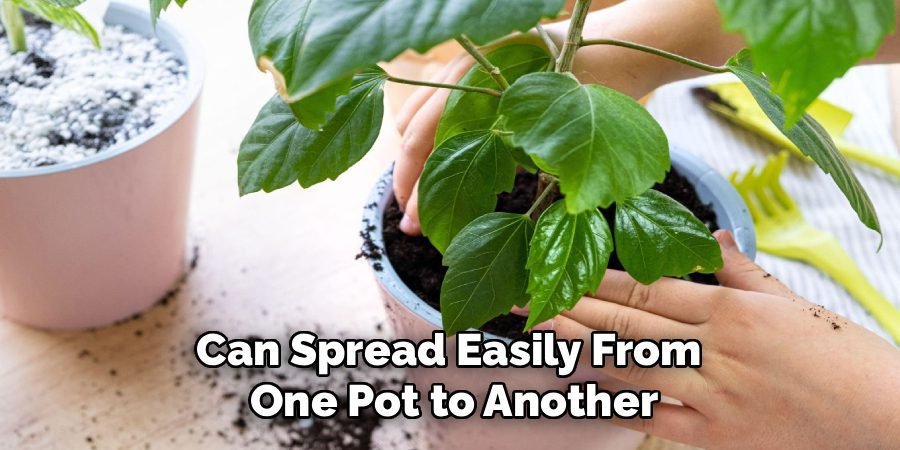 Can Spread Easily From
One Pot to Another
