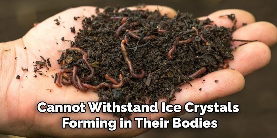 Cannot Withstand Ice Crystals
Forming in Their Bodies