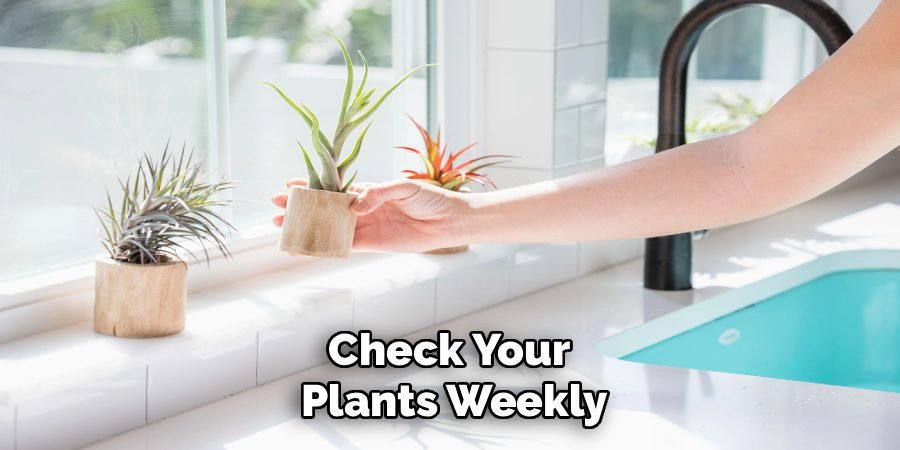 Check Your
Plants Weekly