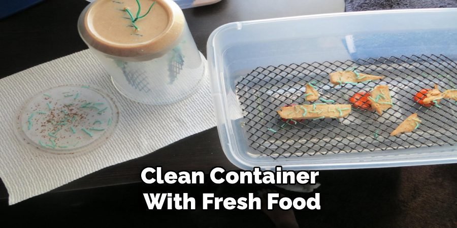 Clean Container
With Fresh Food