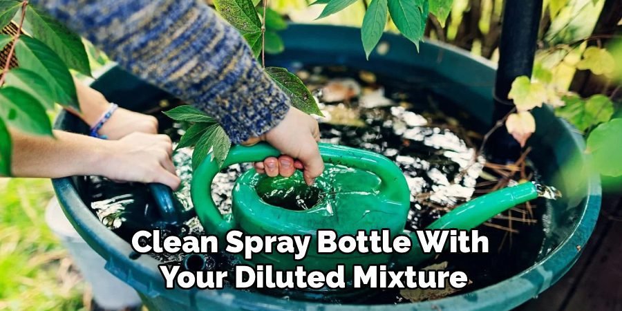 Clean Spray Bottle With 
Your Diluted Mixture