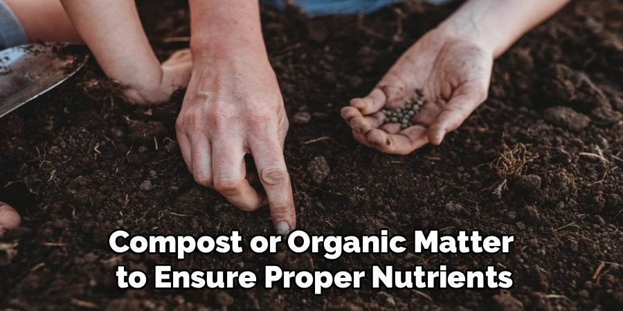 Compost or Organic Matter 
to Ensure Proper Nutrients