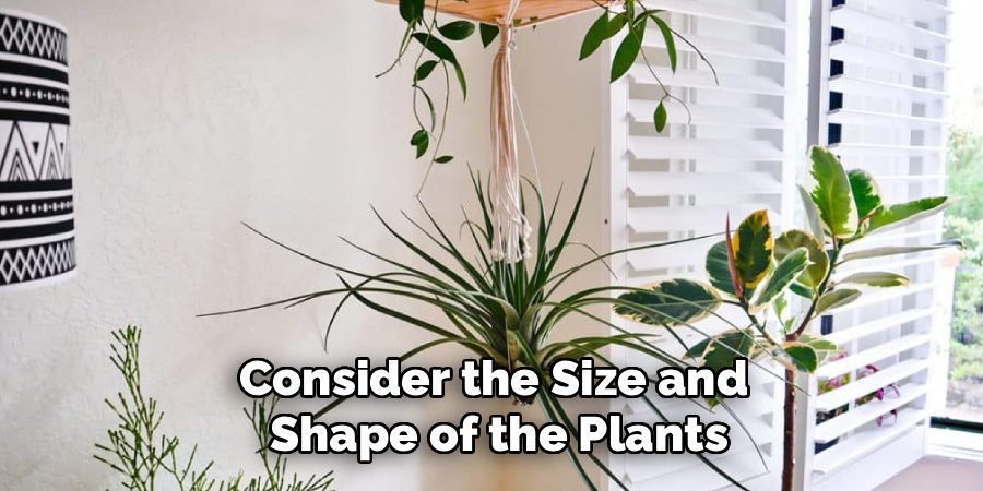 Consider the Size and 
Shape of the Plants