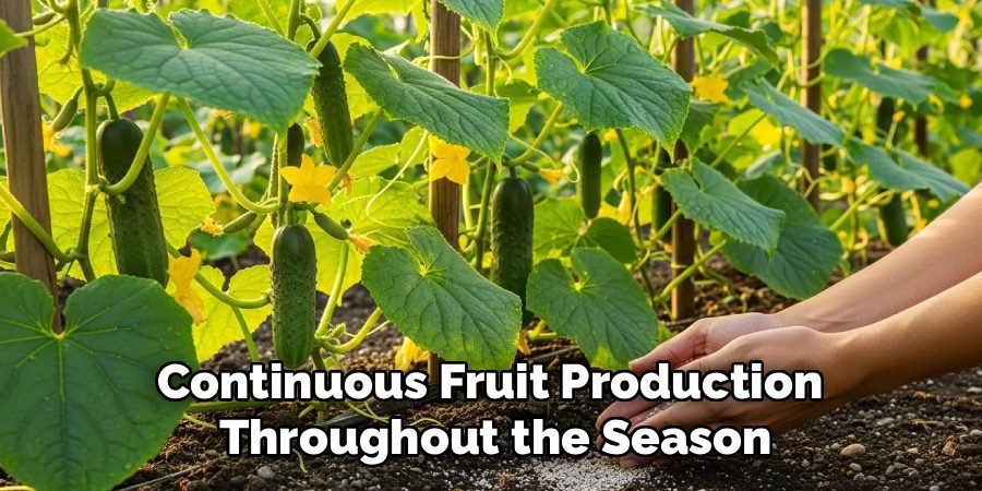 Continuous Fruit Production 
Throughout the Season