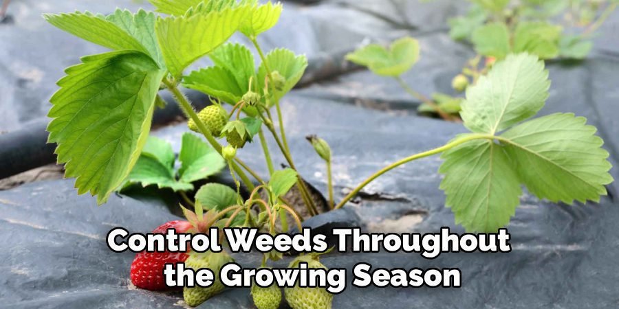 Control Weeds Throughout 
the Growing Season