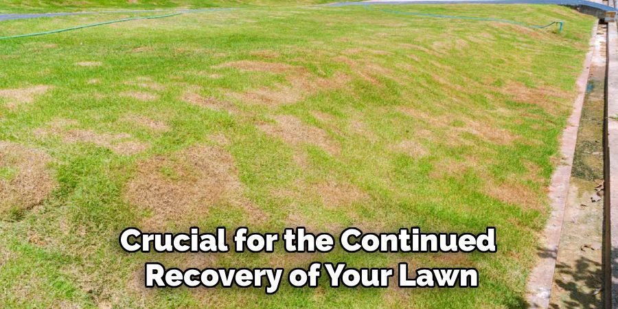 Crucial for the Continued 
Recovery of Your Lawn