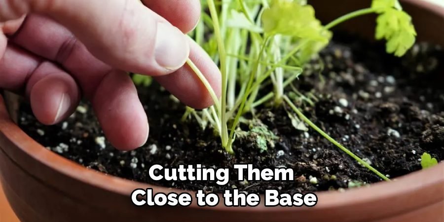 Cutting Them Close to the Base