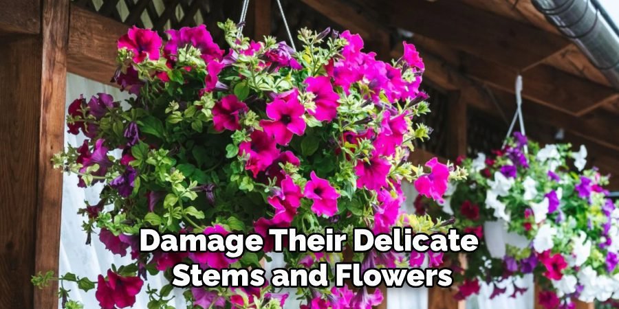 Damage Their Delicate 
Stems and Flowers