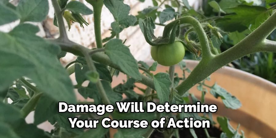 Damage Will Determine
Your Course of Action