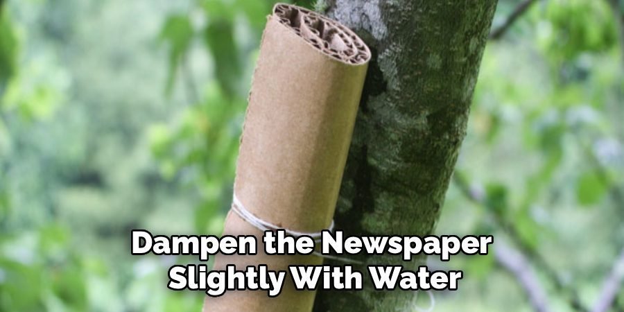Dampen the Newspaper
Slightly With Water