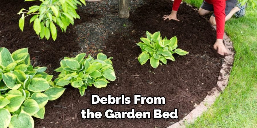 Debris From
the Garden Bed
