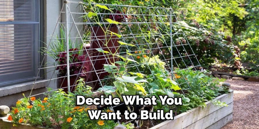 Decide What You 
Want to Build