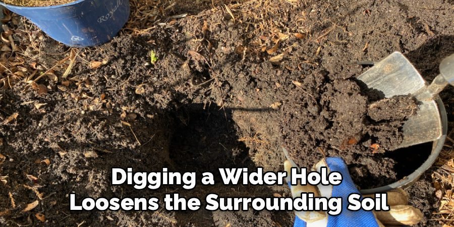 Digging a Wider Hole 
Loosens the Surrounding Soil