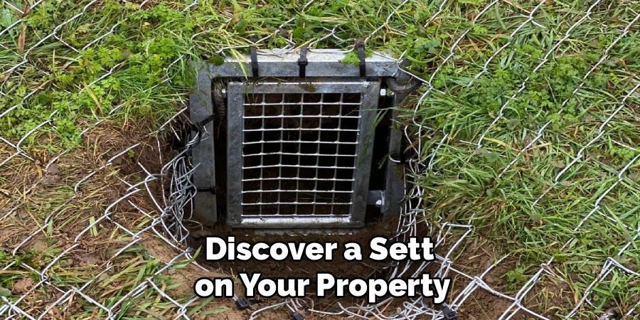 Discover a Sett
on Your Property