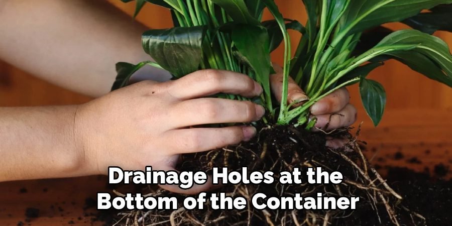 Drainage Holes at the 
Bottom of the Container